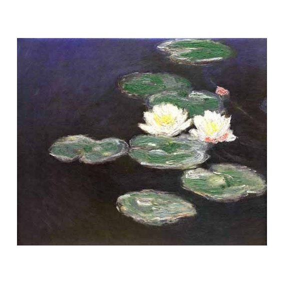 cuadros de paisajes - Cuadro -Nympheas (Waterlilies)-