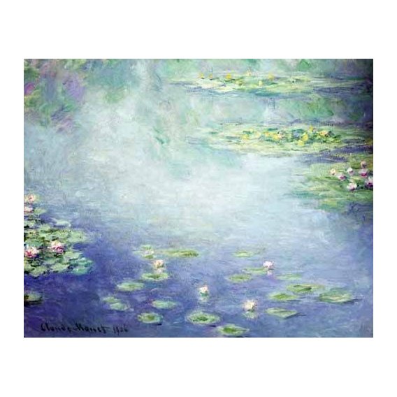 cuadros de paisajes - Cuadro -Nenúfares-