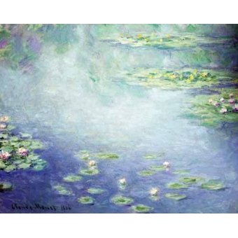cuadros de paisajes - Cuadro -Nenúfares-