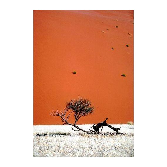 cuadros de fotografia - Cuadro -Foto 57-