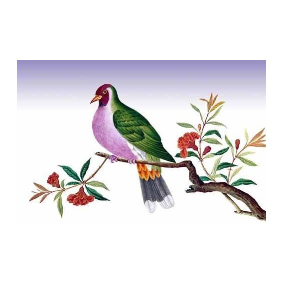 cuadros de fauna - Cuadro -Pajaro sobre una rama-