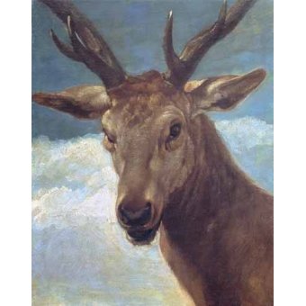 cuadros de fauna - Cuadro -Cabeza de venado- (de caza)