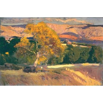 Cuadro -Arbol Amarillo, La Granja, 1906-, Joaquin Sorolla