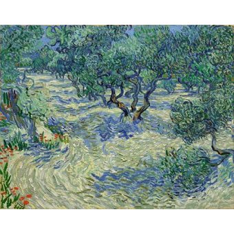 Cuadro -Olive Orchard, 1889-, Vincent Van Gogh