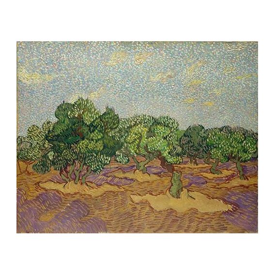 cuadros de paisajes - Cuadro -Olivos-