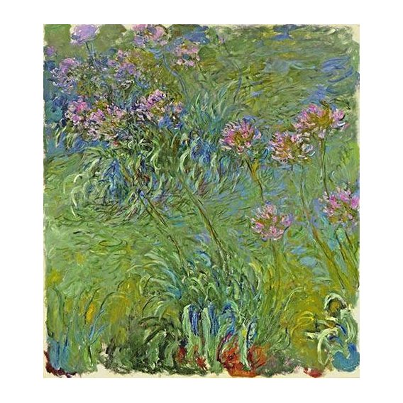 cuadros de flores - Cuadro -Flores de agapantus, 1914-