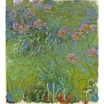 cuadros de flores - Cuadro -Flores de agapantus, 1914-