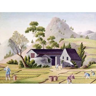 cuadros etnicos y oriente - Cuadro -Campesinos en los arrozales-