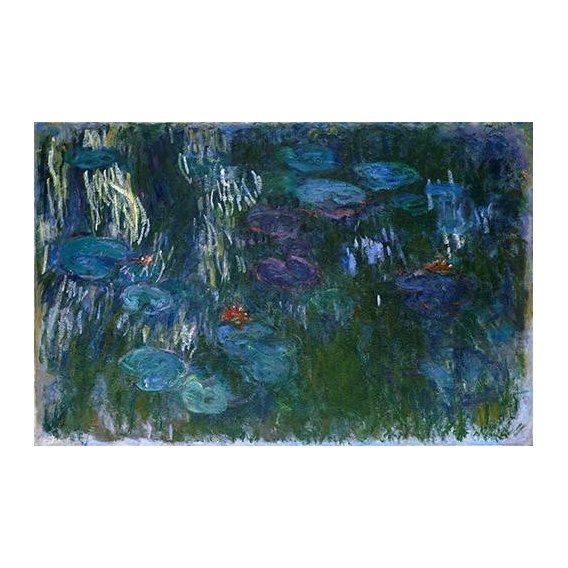 cuadros de paisajes - Cuadro -Water Lilies (2)-