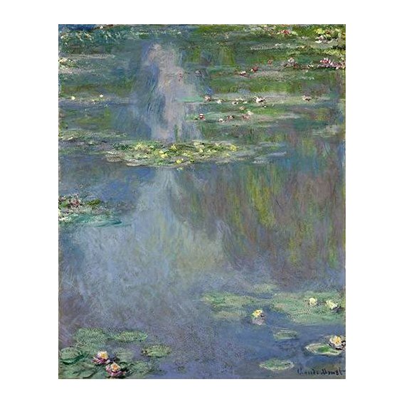 cuadros de paisajes - Cuadro -Nympheas-