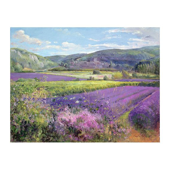 Cuadro -Lavender Fields in Old Provence -