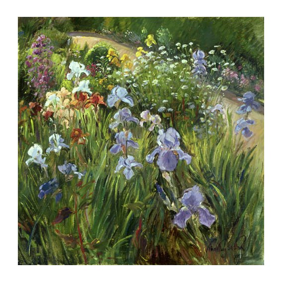 Cuadro - Irises and Oxeye Daisies, 1997 -