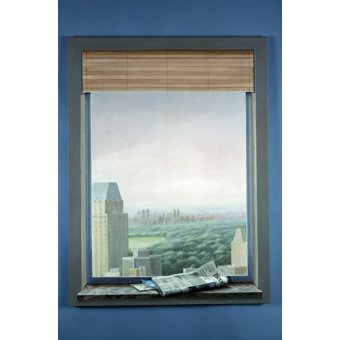 Cuadro -New York Central Park -