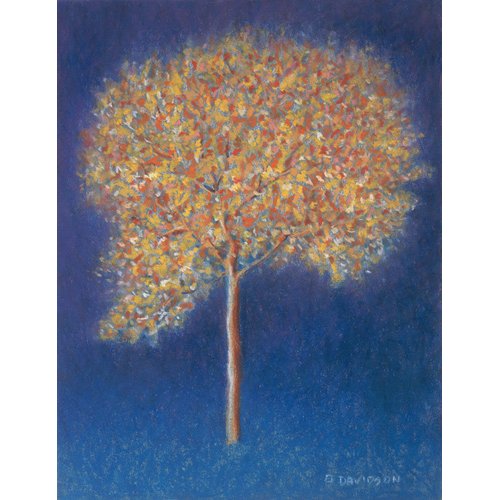 Cuadro -Tree in Blossom-, Peter Davidson