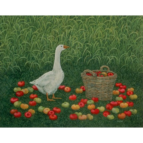 Cuadro de Animales - The basket of apples, Ditz