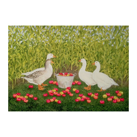 Cuadro -Sweetcorn-Geese-