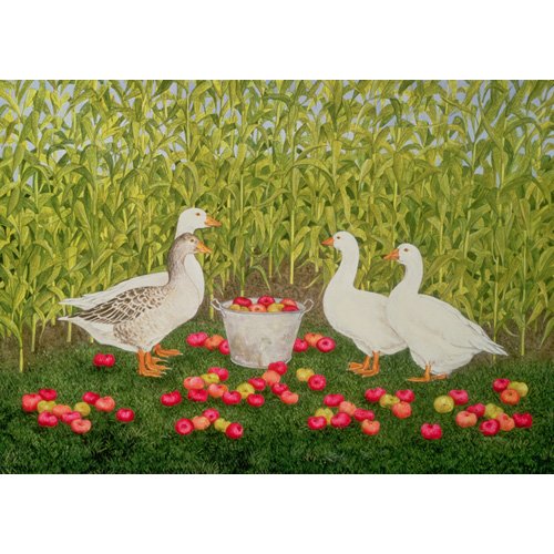 Cuadro de Animales - Sweetcorn Geese, Ditz