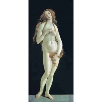 cuadros de retrato - Cuadro -Venus-