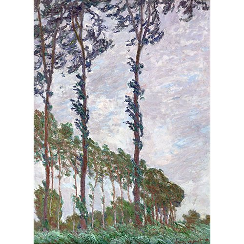 Cuadro -Les nénuphars - soleil couchant-