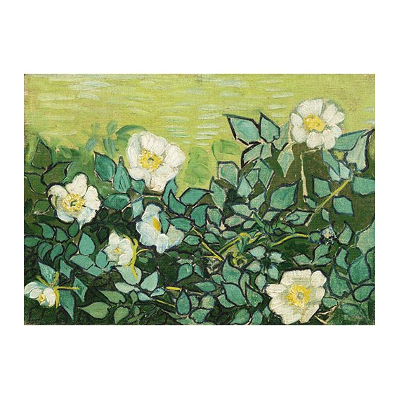 Cuadro -Roses sauvages-