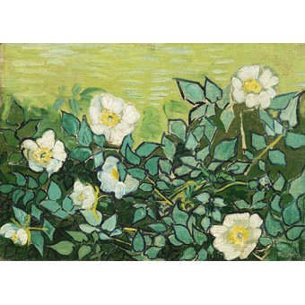 Cuadro -Roses sauvages-