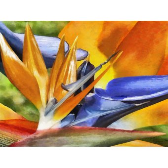 cuadros decorativos y arte para el hogar
