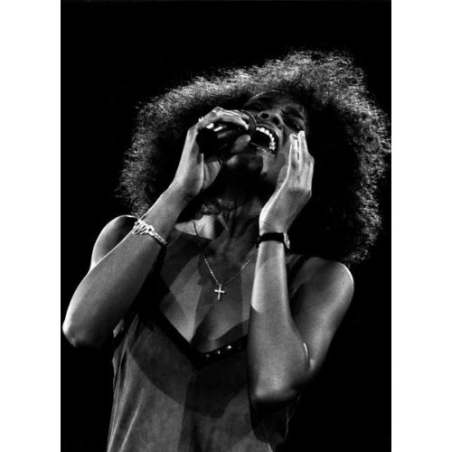 Comprar cuadro Whitney Houston en Basilea, 19 de junio de 1988