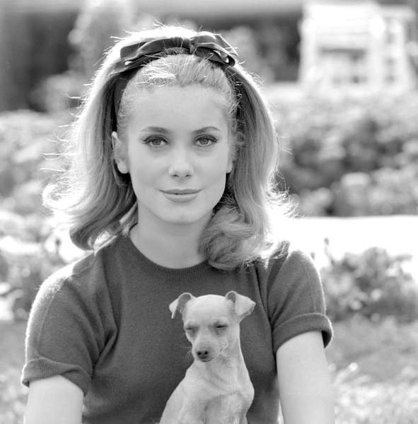 Retrato de Catherine Deneuve