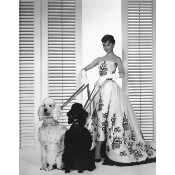 Audrey Hepburn, Sabrina 1954 Dirigida por Billy Wilder