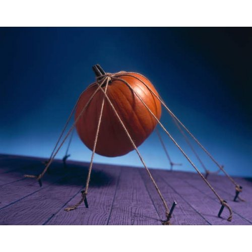 Cuadro -Tethered Pumpkin, 1996, Norman Hollands
