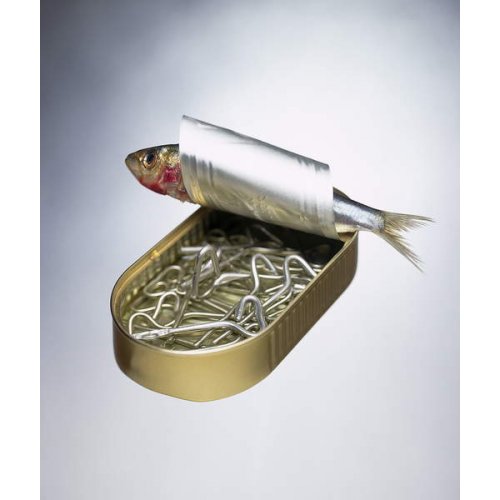 Cuadro -Sardine Can Inversion, 1997, Norman Hollands