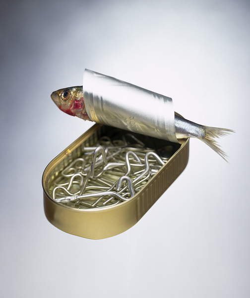 Cuadro -Sardine Can Inversion, 1997, Norman Hollands