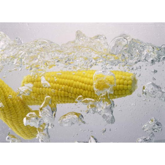 Cuadro -Boiling sweetcorn, 2003, Norman Hollands