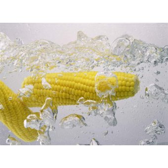 Cuadro -Boiling sweetcorn, 2003, Norman Hollands