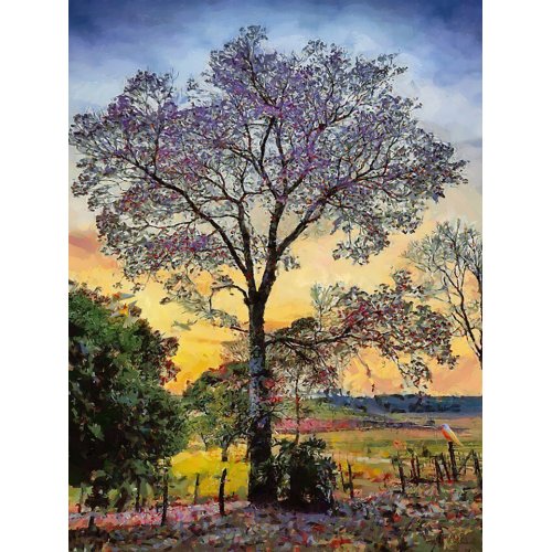 Cuadro -Moderno CFM17895-, Celito Medeiros