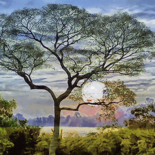 Cuadro -Moderno CFM17896-, Celito Medeiros