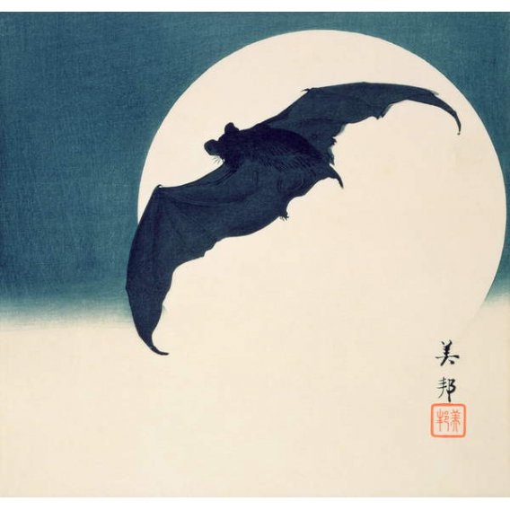 Murciélago y luna llena, Biho Takashi