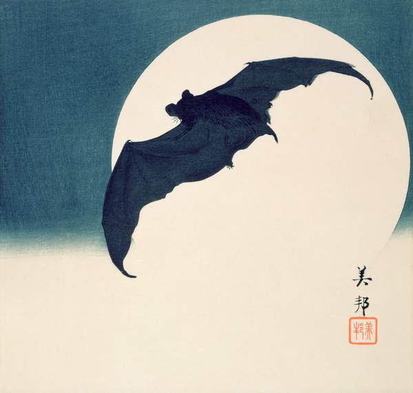 Murciélago y luna llena, Biho Takashi