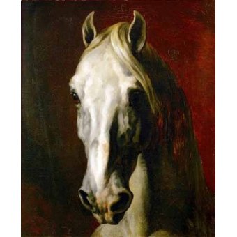 cuadros de fauna - Cuadro -Cabeza de caballo blanco-