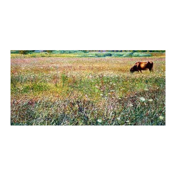 cuadros de paisajes - Cuadro -Roman countryside-