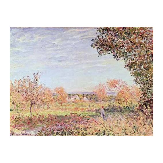 cuadros de paisajes - Cuadro -Mañana de Septiembre-