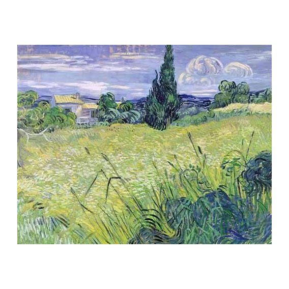 cuadros de paisajes - Cuadro -Paisaje con maíz verde-
