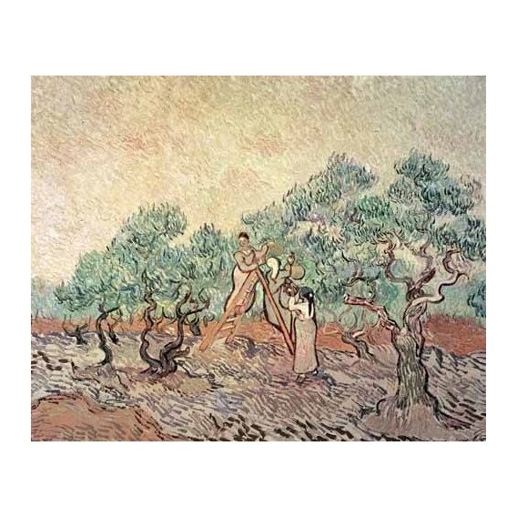 cuadros de paisajes - Cuadro -El Olivar-